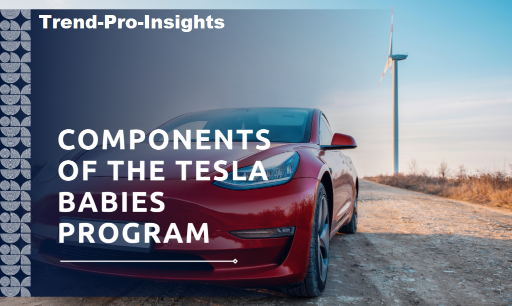 Tesla Babies Program and How Does It Work